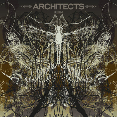 Architects - Ruin
