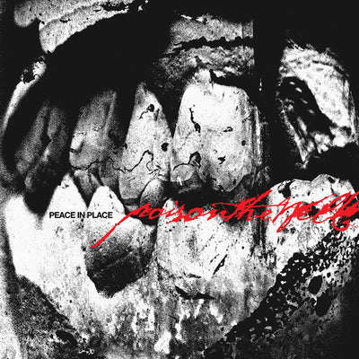 Poison the Well – Peace In Place (Clear Vinyl) (Pre Order)