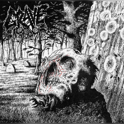 Grave - Necropsy: The Complete Demo Recordings 1986-1991 (Clear Purple Vinyl, Limited Edition, Slipsleeve Packaging) (Pre Order)