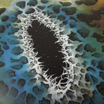 Iron Age - The Sleeping Eye (GMVC Exclusive)