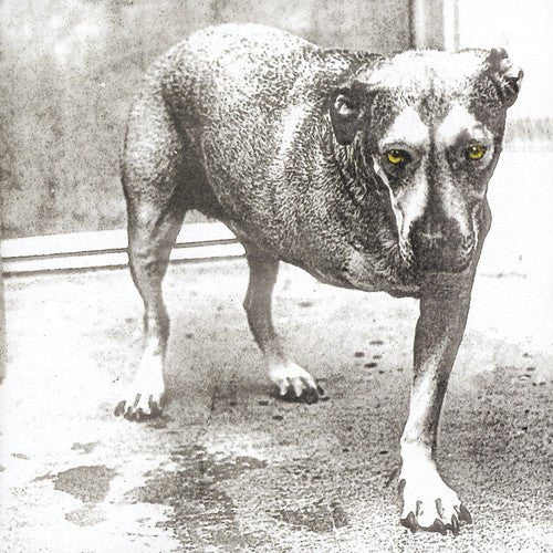 Alice In Chains - Alice In Chains - Gimme Radio