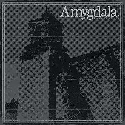 Amygdala - Our Voices Will Soar Forever - Gimme Radio