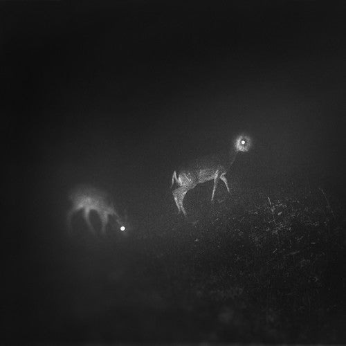 Bliss Signal - Bliss Signal - Gimme Radio