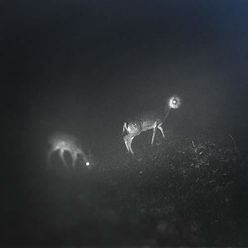 Bliss Signal - Bliss Signal - Gimme Radio