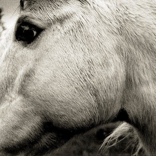 Bonny Light Horseman - Bonny Light Horseman - Gimme Radio