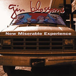 Gin Blossoms - New Miserable Experience - Gimme Radio
