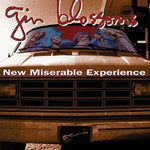 Gin Blossoms - New Miserable Experience - Gimme Radio