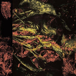 Hissing - Permanent Destitution - Gimme Radio