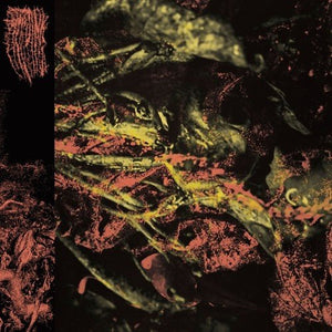Hissing - Permanent Destitution - Gimme Radio
