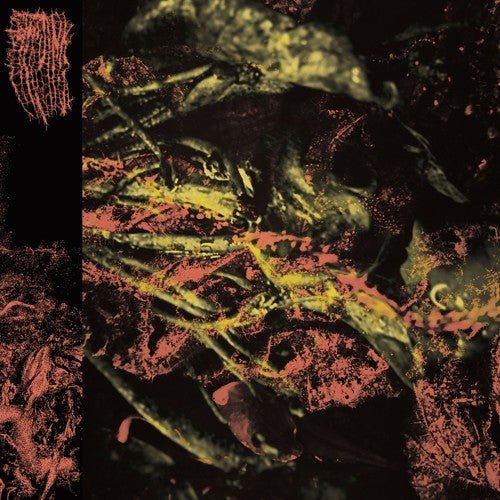 Hissing - Permanent Destitution - Gimme Radio