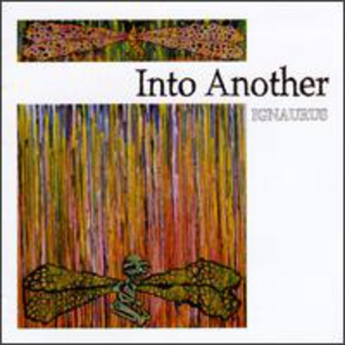 Into Another - Ignaurus - Gimme Radio