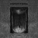 Paysage D'Hiver - Im Wald - Gimme Radio