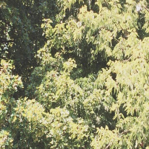 Sadness - Circle Of Veins - Gimme Radio