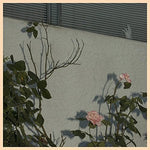 Soft Kill - Savior - Gimme Radio